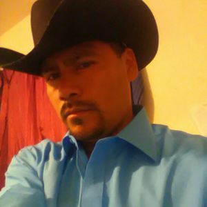 Meet your Posher, Dario